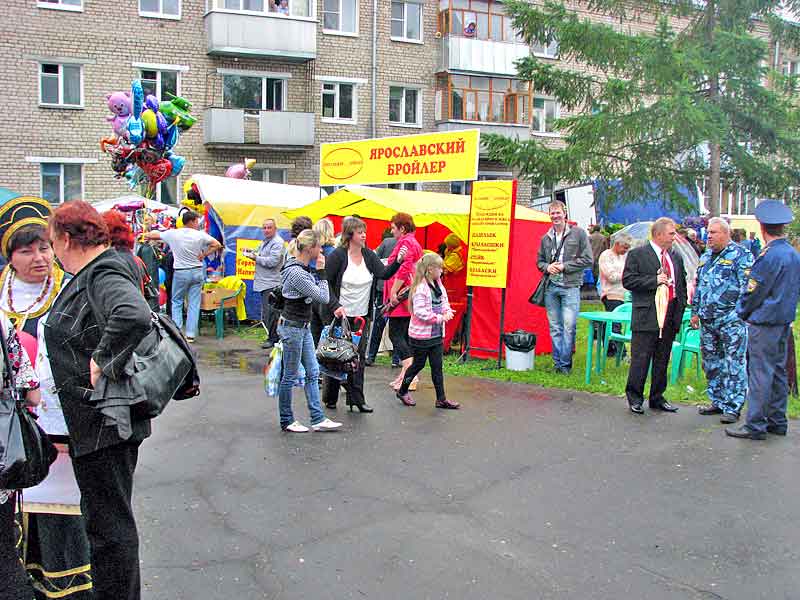 Рыбинская Земля в посёлке Каменники